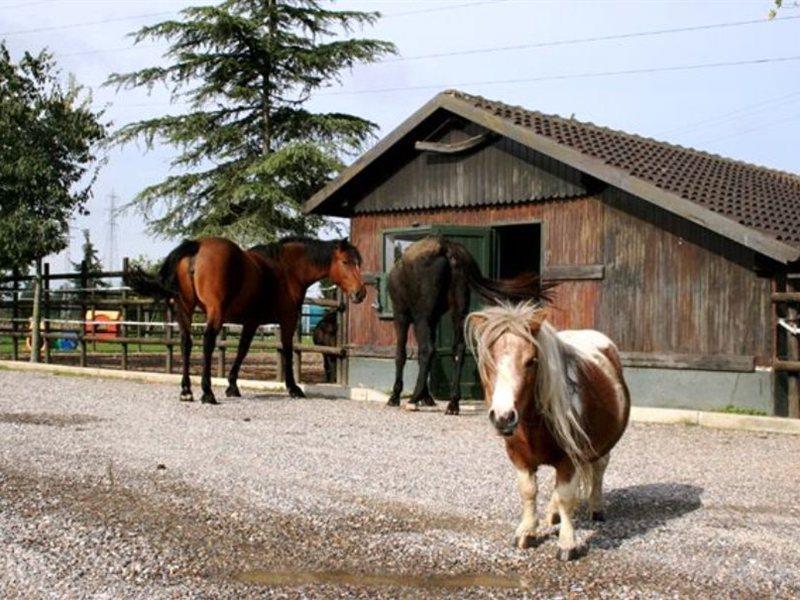Hotel Da Mariuccia 3*